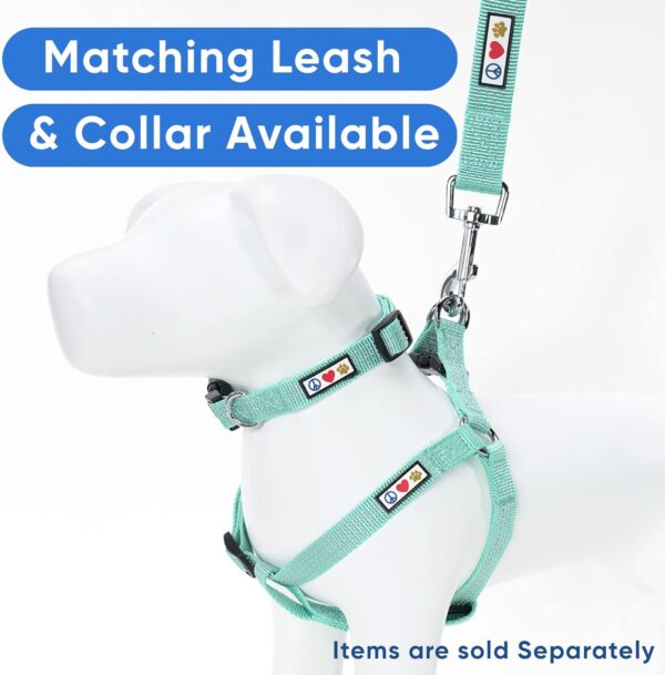 Pawtitas Extra Small Dog Harness Teal Dog Harness Step in from a Senior Dog to a Puppy Harness Adjustable Reflective Dog Harness XS Reflective Dog Vest - Image 6