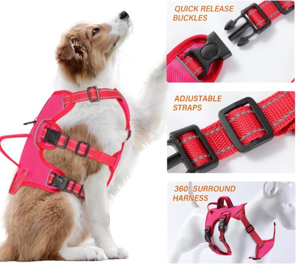 Escape Proof Dog Harness Large Sized Six Point Adjustable, Soft Padded Full Body No Pull Dog Harness and Leash Set, Reflective Dog Vest Harness with Handle, Dog Harness for Large Size Dog(Pink, L) - Image 4