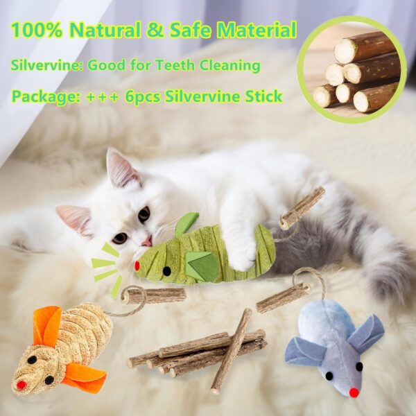 9Pcs Cat Toys, 3X Squeak Mice Catnip Toys for Indoor Cat + 6X Silvervine Chew Stick Dental Chirping Mouse Plush Kitten Stuffed Toy Cleaning Teeth Matatabi Bite Interactive Cat Gifts Kitty Toy - Image 3