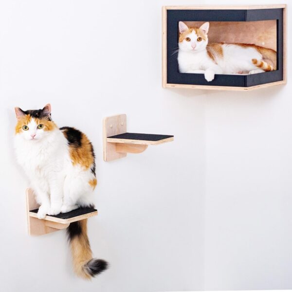 Cat Wall Furniture with Steps, Cat Wall Shelves, Cat Wall-Mounted Furniture Set, Floating Cat Shelves and Perches for Climbing - Image 6