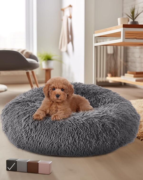 Calming Donut Bed for Dogs and Cats, Ultra Soft Circle Bed, Cozy, Waterproof, Zipper Cover, 23 in Bed, Small Dog Bed (Gray)