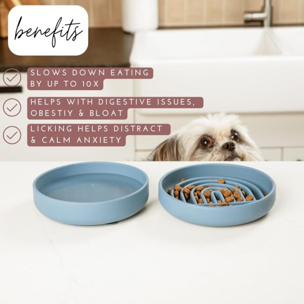 The Slowdown Bowl - Silicone Slow Feeder for Dogs & Puppies, Slow Eating, Modern Lick Mat Design, Reduces Gulping, Dishwasher Fit, for All Breed, Mealtime Challenge, Small-Spruce - Image 2