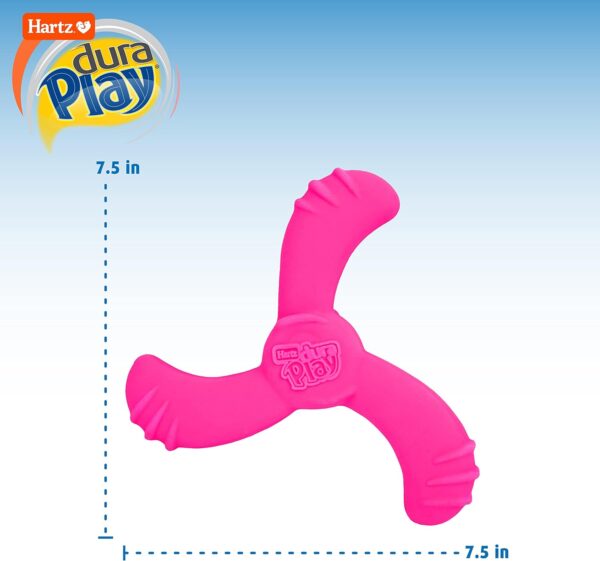 Hartz DuraPlay Bacon Scented Dog Toys, Medium/Large ( Colors may vary ) All Breed Sizes - Image 3