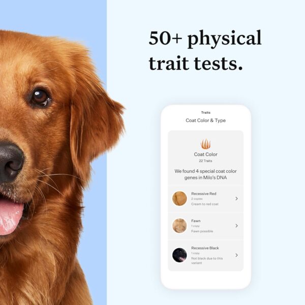 Wisdom Panel Essential Dog DNA Kit: Most Accurate Test for 365+ Breeds, 30 Genetic Health Conditions, 50+ Traits, Relatives, Ancestry - 1 Pack - Image 5