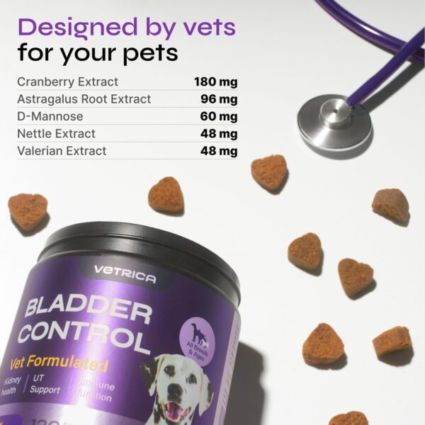 Dog UTI Treatment - Bladder Control Cranberry Chews - Dog Cranberry Supplement for Urinary Tract, Bladder & Kidney Health - Cranberry D-Mannose Soft Treats for Dog Incontinence - Healthy Bladder - Image 2