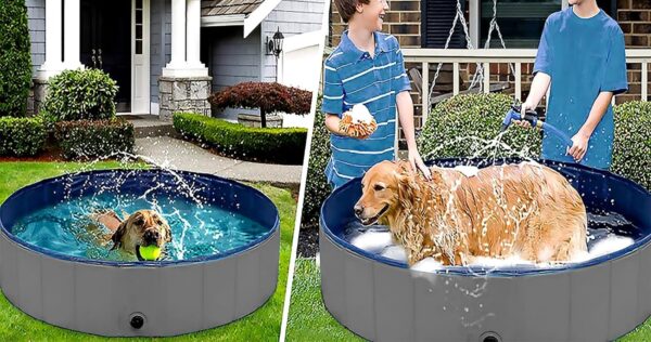 Large Dog Pool, Dog Bathtub Collapsible Hard PVC Material Pet Swimming Pool, Portable Bath Tub for Pets Dogs, Pet Pool for Indoor and Outdoor 63 x 12inches - Image 3