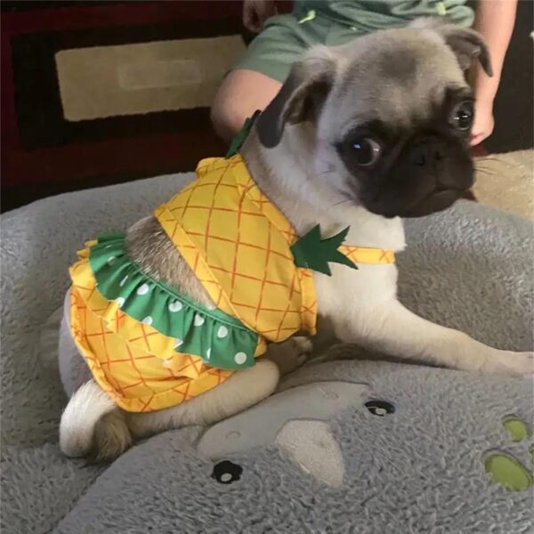 Funny Dog Swimwear Bikini Summer Dog Clothes Beach Swimsuit Puppy Bathing Suit Puppy Vest Cooling Dog Shirts Pet Shirt for Small Dog, Cat Apparel (Large, Yellow Pineapple) - Image 5