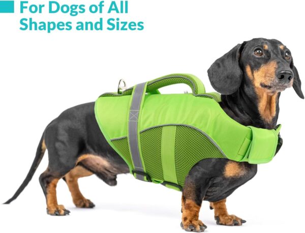 Queenmore Dog Life Jacket, Adjustable Ripstop Dog Life Vest for Swimming Boating, Dog Lifesaver with Superior Buoyancy and Rescue Handle, Dog Swimming Vest for Medium Dogs（Green,M） - Image 4