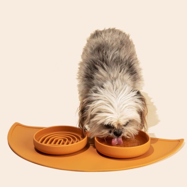 The Slowdown Bowl - Silicone Slow Feeder for Dogs & Puppies, Slow Eating, Modern Lick Mat Design, Reduces Gulping, Dishwasher Fit, for All Breed, Mealtime Challenge, Small-Spruce - Image 7