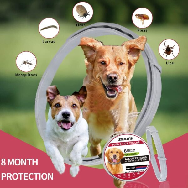 Flea and Tick Collar for Dogs, Flea and Tick Prevention for Dog, 27 Inch, 8 Month Protection, 1 Pack - Image 5