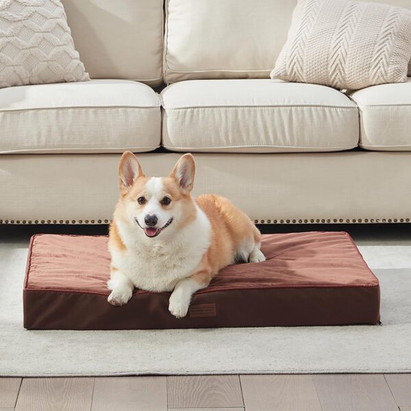 Small Dog Bed for Small Dogs - Outdoor Dog Bed Washable with Oxford Fabric Surface, Egg Crate Orthopedic Foam Pet Bed up to 25lbs with Removable Cover, Machine Washable (Brown, 22"X16"X4") - Image 5