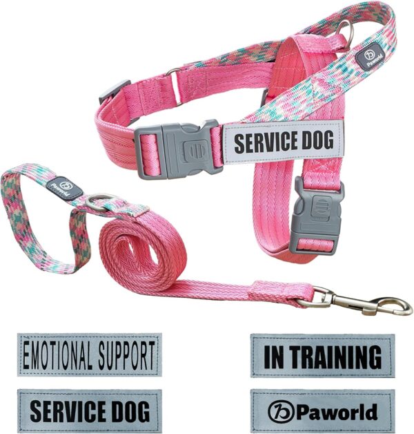 Service Dog Harness and Leash Set, No-Pull Service Dog Vest with 4 PCS Reflective Patches, Dog Vest Harness with Handle, Pet Harness for Small Medium Large Dogs in Training (Pink, S)