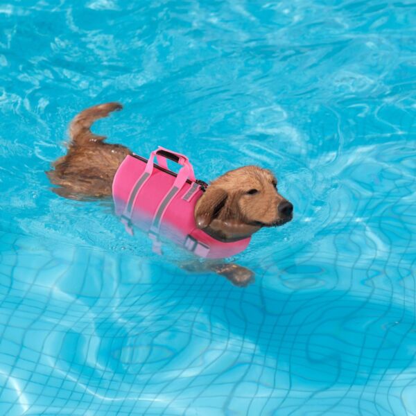 SAWMONG Dog Life Jacket,Dog Swimming Vest with Ripstop and High Flotation for Small Medium Large Dogs,Reflective Lightweight Dog Life Preserver with Rescue Handle for Boating DeepPink XS - Image 6