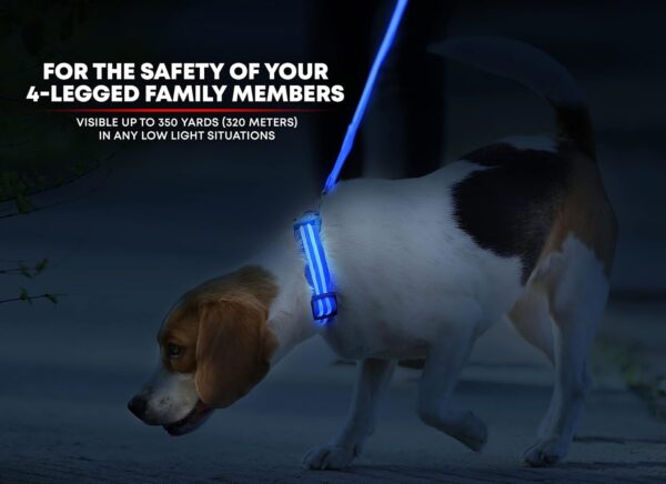 Illumiseen LED Dog Collar USB Rechargeable - Bright & High Visibility Lighted Glow Collar for Pet Night Walking - Weatherproof, in 6 Colors & 6 Sizes (Blue Large) - Image 2