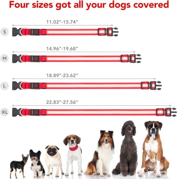 LED Dog Collar, Light Up Dog Collar Adjustable USB Rechargeable Super Bright Safety Light Glowing Collars for Dogs(Medium,Red) - Image 6