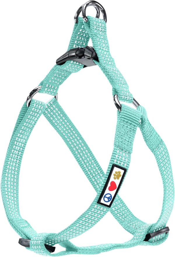 Pawtitas Extra Small Dog Harness Teal Dog Harness Step in from a Senior Dog to a Puppy Harness Adjustable Reflective Dog Harness XS Reflective Dog Vest