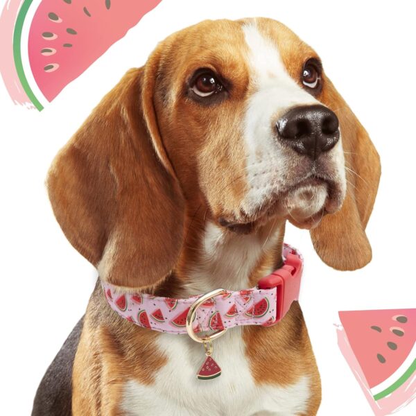 Faygarsle Cute Dog Collar for Girls Boy Dogs Soft Fancy Pet Collar with Watermelon Design Ideal Pink Summer Dog Collar for Small Medium Large Dogs M - Image 6