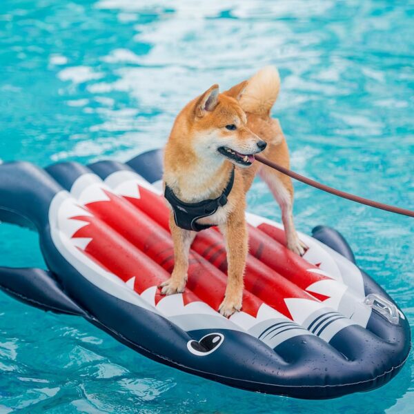 KOOLTAIL Dog Pool Float Inflatable Dog Raft, Large Ride Shark Dog Float for Lake, Dog Pool Swimming Float to Water Games Toys in Summer, Dog Pool Floats Raft for Small Medium Large Dogs Heavy Duty - Image 7