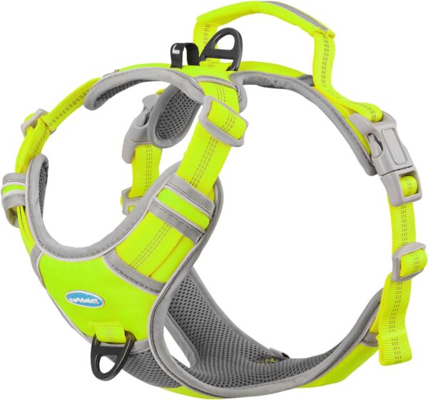 ThinkPet No Pull Harness set Breathable Sport Harness with Handle - Reflective Padded Dog Safety Vest with Reflective Neon Dog Leash XL Harness Leash Pack Green