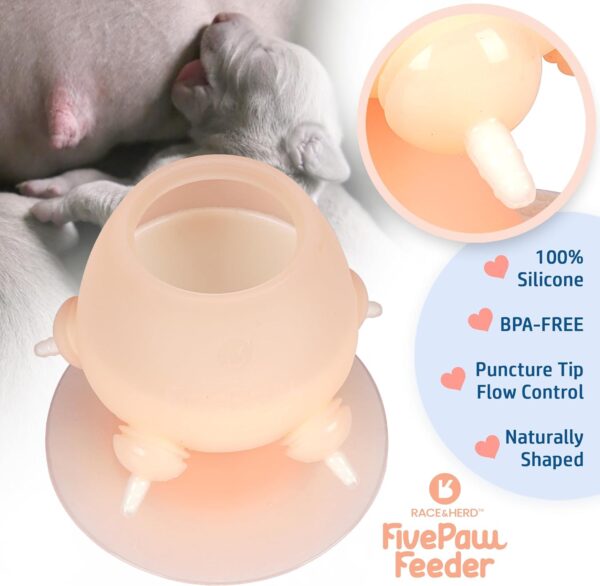 Race&Herd FivePaw Kitten Puppy Feeders for Multiple Puppies of 5 | Puppy Bottles for Nursing Puppy Milk Feeder - Puppy Nipple Feeder Silicone Puppy Feeder with Nipples (12.8 Fl Oz, Natural) - Image 2