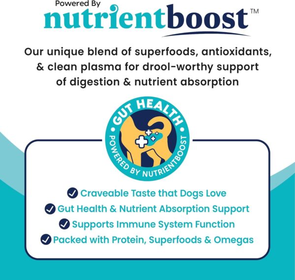 Solid Gold Healthy Dog Treats - Functional Dog Treats for Training + Performance - Beef Dog Treat with Salmon Oil & Superfoods Healthy Training Treats for Dogs - 5.2 oz - Image 5