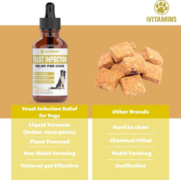 Natural Yeast Infection Treatment for Dogs | Helps to Support Itch Relief, Inflammation Relief & More | Dog Ear Infection Treatment | Dog Itch Relief | Dog Yeast Ear Infection Treatment | Maple Flavor - Image 4