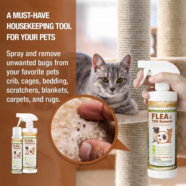 EcoVenger Flea & Tick Removal Spray 16oz for Dogs and Cats, Protects from Fleas, Mites, Ticks & Mosquitoes, eliminates+ Repels+ Housekeeping, Indoors/Outdoors, Plant-Based Formula Safe for Pets & Kids - Image 4