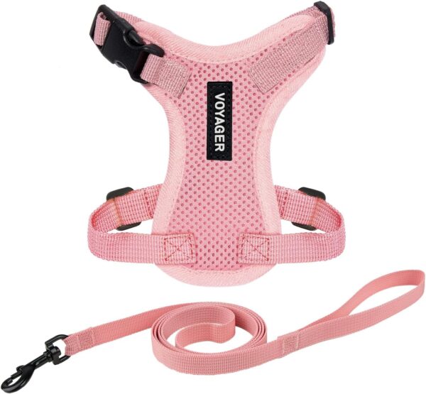 Voyager Step-in Lock Adjustable Cat Harness w. Cat Leash Combo Set with Neoprene Handle 5ft - Supports Small, Medium and Large Breed Cats by Best Pet Supplies - Pink, XXXS