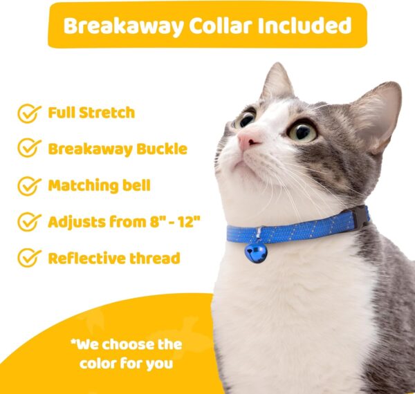 Birdsbesafe® Cat Collar Cover for Birds - Bird Warning Cat Collar, Scientifically Proven to Help Prevent Your Cat from Catching Birds, 2 Cat Collar Covers and 1 Breakaway Cat Collar Included - Image 5