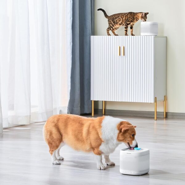 Cat Water Fountain with Wireless Pump, Ultra Quiet 67oz/2L Automatic Pet Water Fountain for Cats and Dogs with Replacement Filter Dog Water Dispenser - Image 9