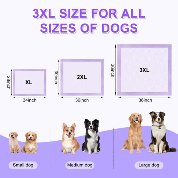 Lavender Scented Super Absorbent & Leak-Proof Puppy Pads, 36"x36" Odor Control Pet Training Dog Pee Pads, Thicken Quick Dry Pee Pads, Potty Training Pads for Dogs Cats, Rabbit - 30Counts - Image 7