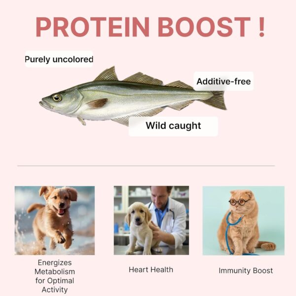 Pollack Fish Treats | Natural Freeze Dried Dog & Cat Treats | Training Treats for Dogs | Rich with Fish Oil for Dogs | All Breeds & Sizes - Image 3