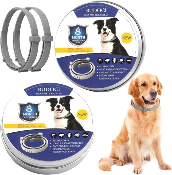 Flea Collar for Dogs 2 Pack Natural Flea and Tick Collar for Dogs 8 Month Prevention Puppys Collars 24 Inch Adjustable Large Collars