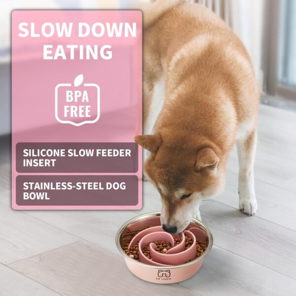 2-in-1 Metal Slow Feeder Dog Bowl, Bestalk Stainless Steel Dog Bowls with Silicone Slow Feeder Insert, Food Grade 304 Water Food Bowl with Anti-Slip Base for Small, Medium, Large Dogs - Image 2