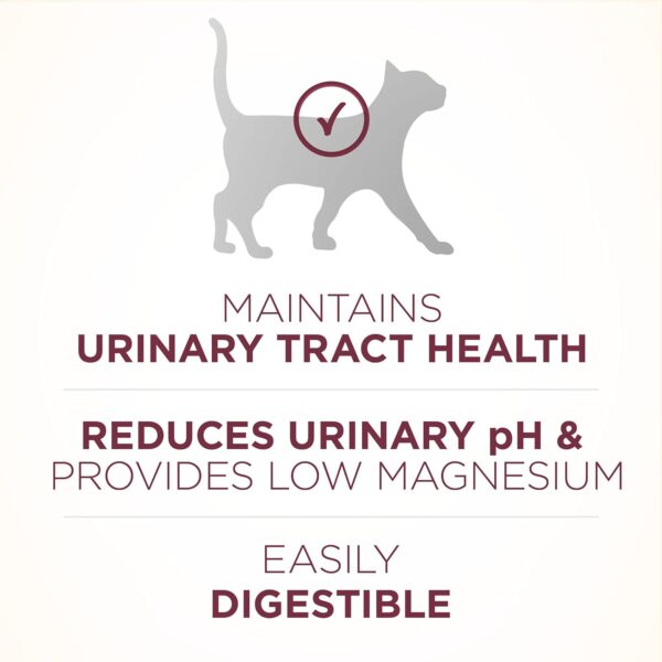 Purina ONE High Protein Dry Cat Food, +Plus Urinary Tract Health Formula - 22 lb. Bag - Image 4