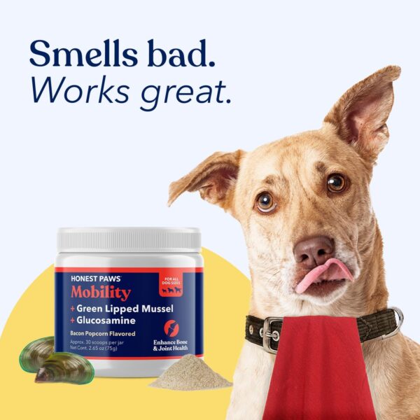 Honest Paws Joint Supplement for Dogs - Glucosamine for Dogs - Enhance Bone Health Mobility Lubricate Joints - Green Lipped Mussel, Glucosamine, Fish Oil, Chondroitin Sulfate, MSM, Vitamin C - Image 6