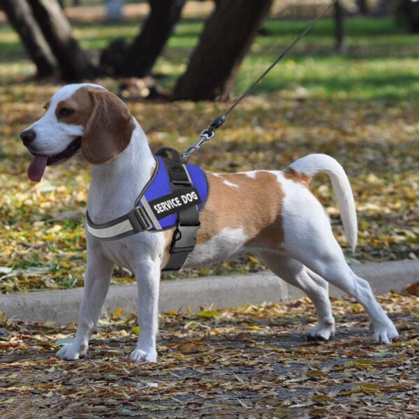 Dog Harness,No-Pull Service Dog Harness with Handle Adjustable Outdoor Pet Dog Vest 3M Reflective Nylon Material Vest for Breeds,Easy Control for Small Medium Large Dogs - Image 6