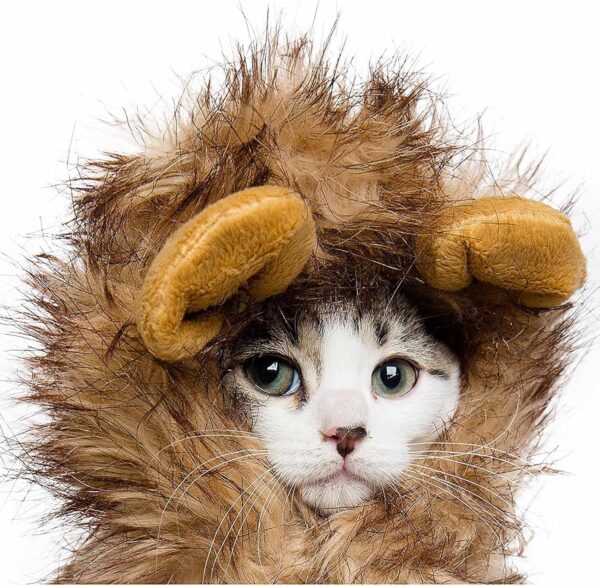 Pet Krewe Cat Lion Mane Halloween Costume – Fits Neck Size 8”-14 - Lion Costume for Small Cats and Kittens – Ideal for Halloween, Cat Birthday, Cat Cosplay, Cat Outfits, Pet Clothes - Image 4