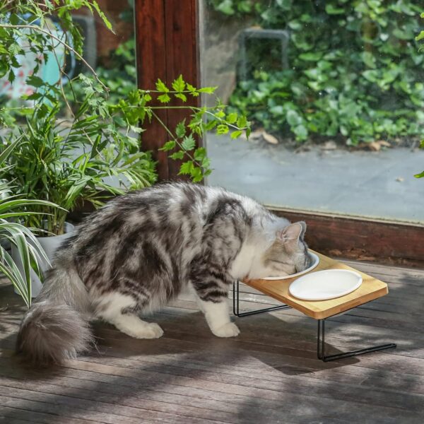 FUKUMARU Elevated Cat Ceramic Bowls, Small Dog 15° Tilted Raised Food Feeding Dishes, Solid Bamboo Water Stand Feeder Set for Cats and Puppy - Image 8