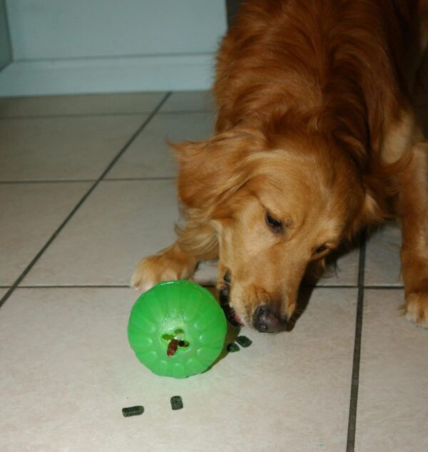 Treat Dispensing Chew Ball, Large - Image 7