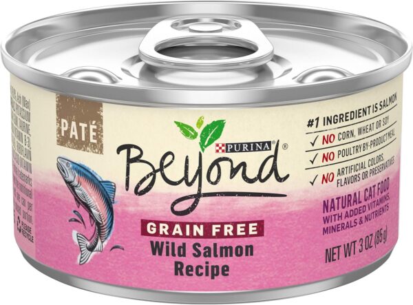 Purina Beyond Grain Free, Natural Pate Wet Cat Food, Grain Free Wild Salmon Recipe - (12) 3 oz. Cans