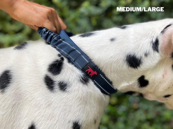 Heavy Duty Dog Collar with Handle | Ballistic Nylon Heavy Duty Collar | Padded Reflective Dog Collar with Adjustable Stainless Steel Hardware | Convenient Sizing for All Breeds - Image 6