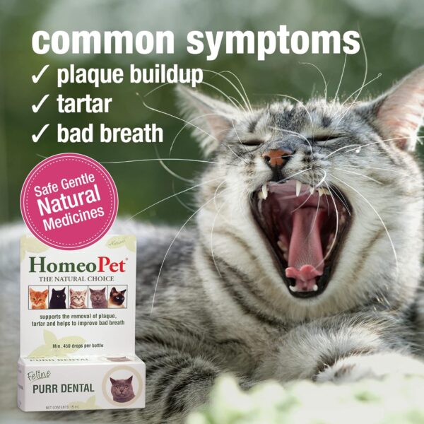 HomeoPet Feline Purr Dental, Dental Care for Cats, 15 Milliliters - Image 3