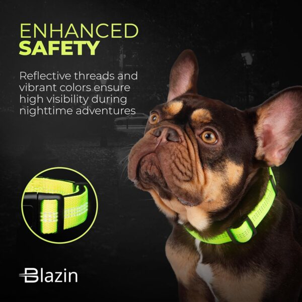 BLAZIN 'Color Me Happy!' Reflective Dog Collar for Day and Night - Adjustable Soft Neoprene Padded Dog Collar in 4 Vibrant Colors - Keeps Dogs Safe and Stylish - for Every Day Use (Medium, Pink) - Image 3