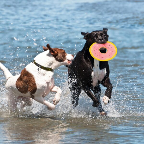 MEWTOGO Dog Pool Floating Toys - Donut Squeaky Water Toys for Small Medium Dogs, Durable Oxford Fabric Interactive Flying Discs for Summer Outdoor Pool Playing, 2PCS - Image 7