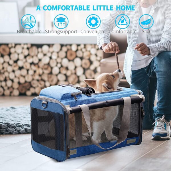 Cat Carrier Large Pet Carrier for 2 Cat, 18.5"x11.8"x11.8" Cat Bag for Midium Large Cats Airline Approved Dog Carrier for Small Dogs, Cat Travel Carrier Foldable 5-Windows Breathable Mesh Design - Image 6