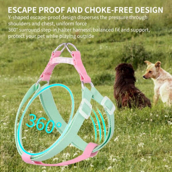 AIITLE Step in Dog Harness & Leash & Collar - Multicolor Lightweight Dog Halter Basic Collar with A 5FT Leash - for Extra Small Dogs Daily Walking and Training Green-Pink XS - Image 3