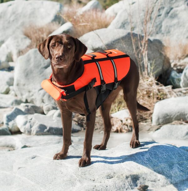 ZippyPaws Adventure Life Jacket for Dogs - Red - Small - Image 5