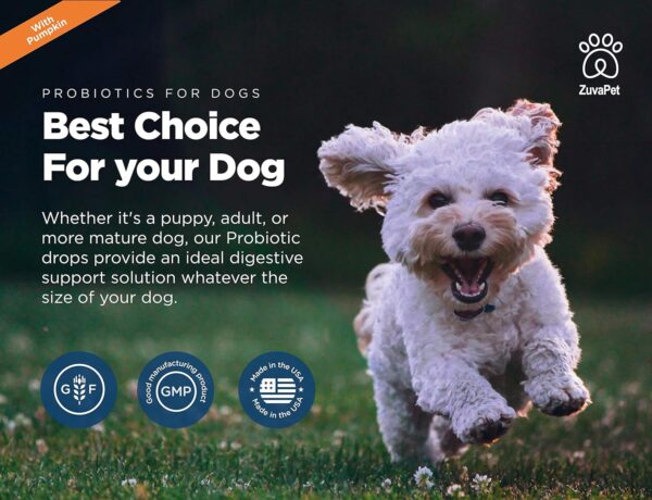 Probiotics for Dogs - Dog Probiotics for Diarrhea - Natural Digestive Enzymes for Upset Stomach Relief + Gas, Constipation Health & Itch Relief - Prebiotic Pet Supplies - 120 Servings - Image 7