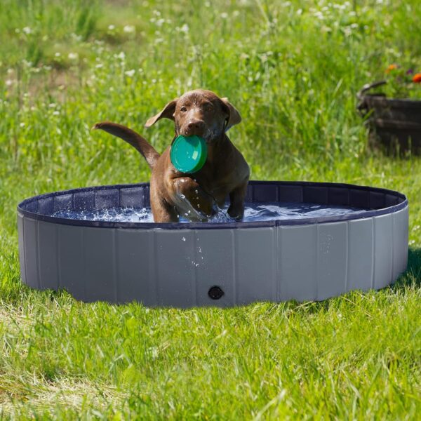 Dog Pool - Dog Pools for Large Dogs, Pet Pool Hard Plastic, Foldable Pool for Dogs Cats and Kids (63inch.D x 12inch.H, Grey) - Image 6